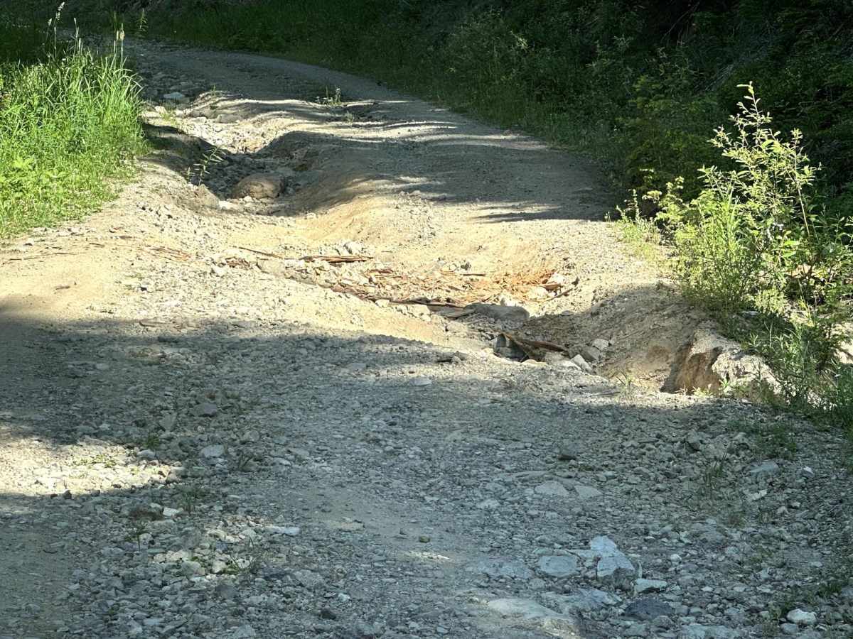 Towhead Gap Trail photo 2