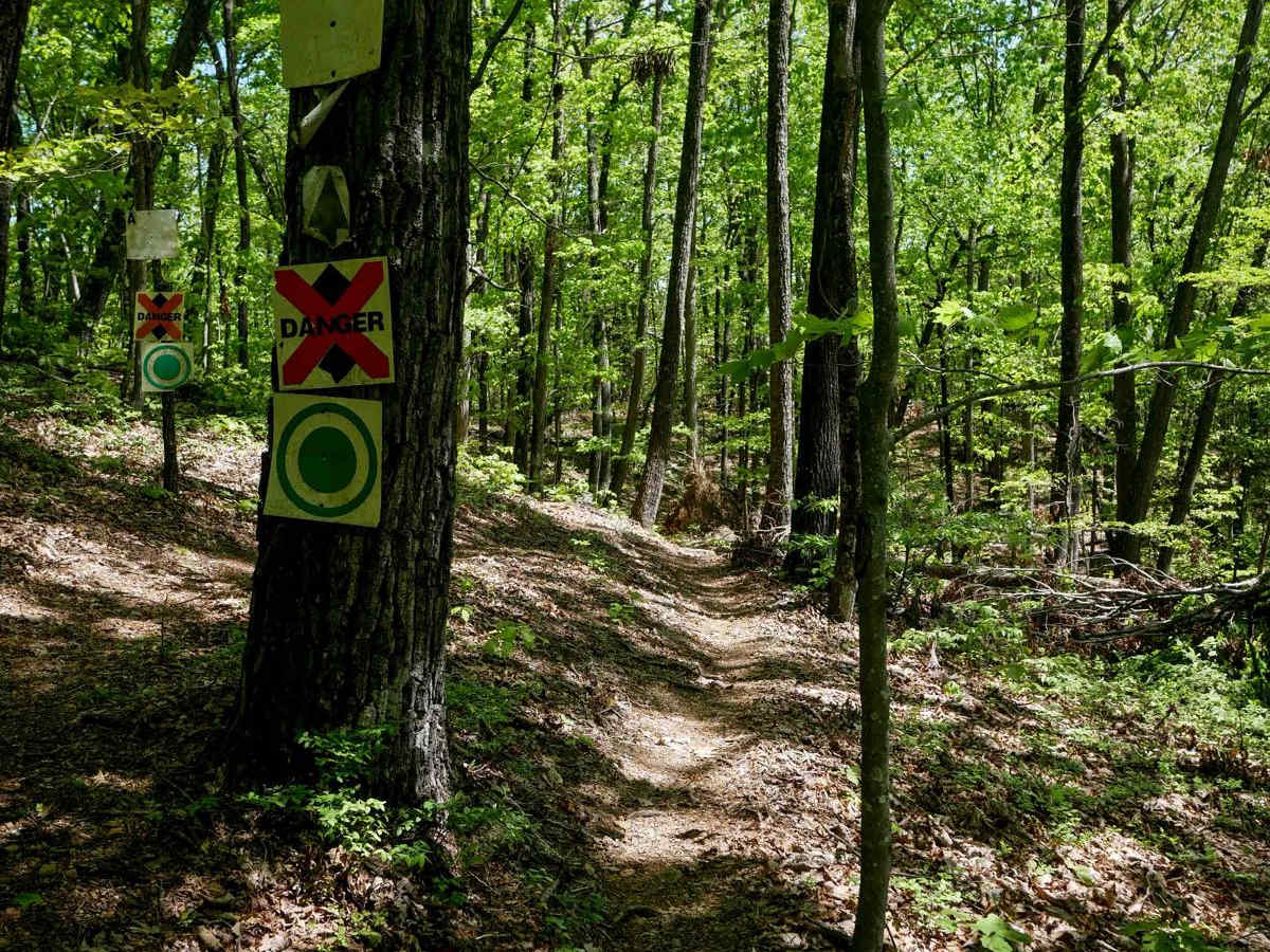 Stage 7 photo 5