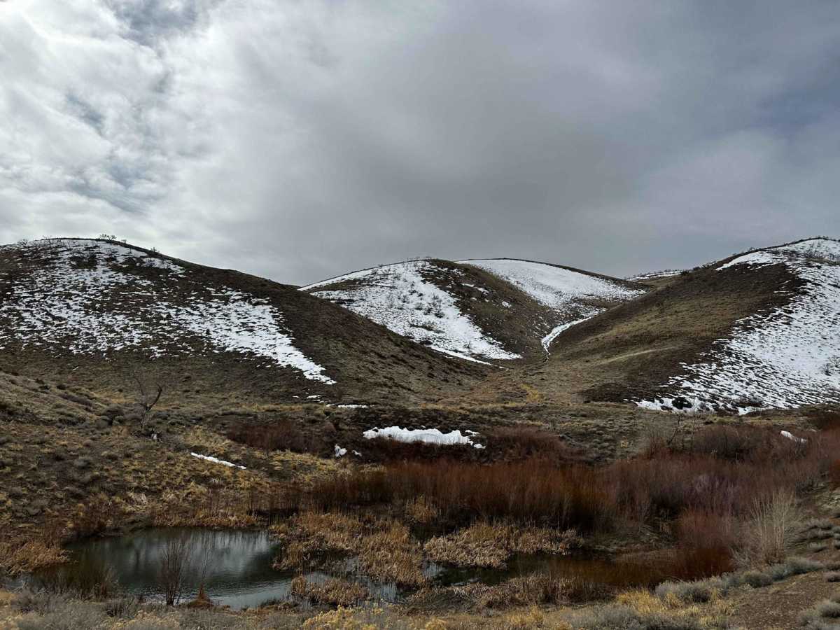 Golden Fleece Mine Road photo 5