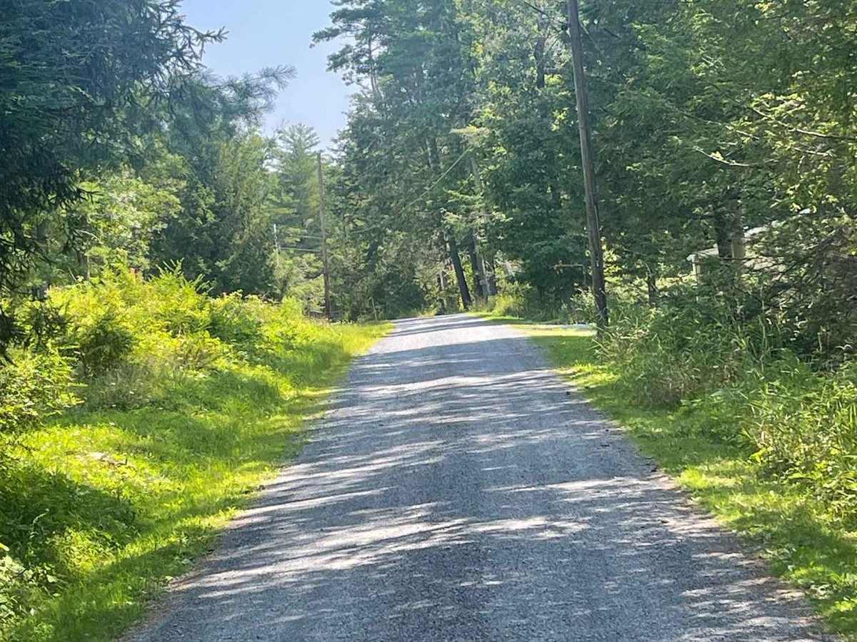 Browns Run Road photo 2
