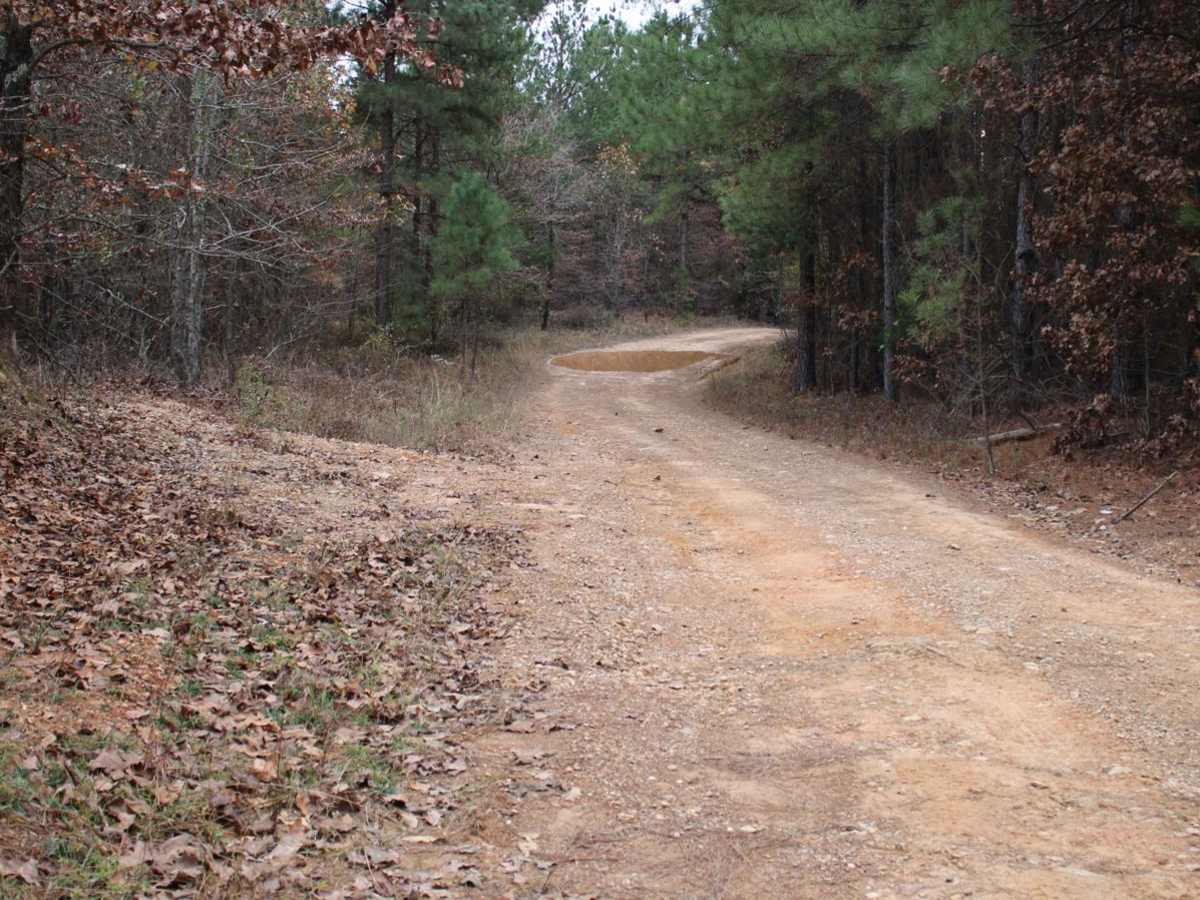 County Roads to Sour Springs photo 3