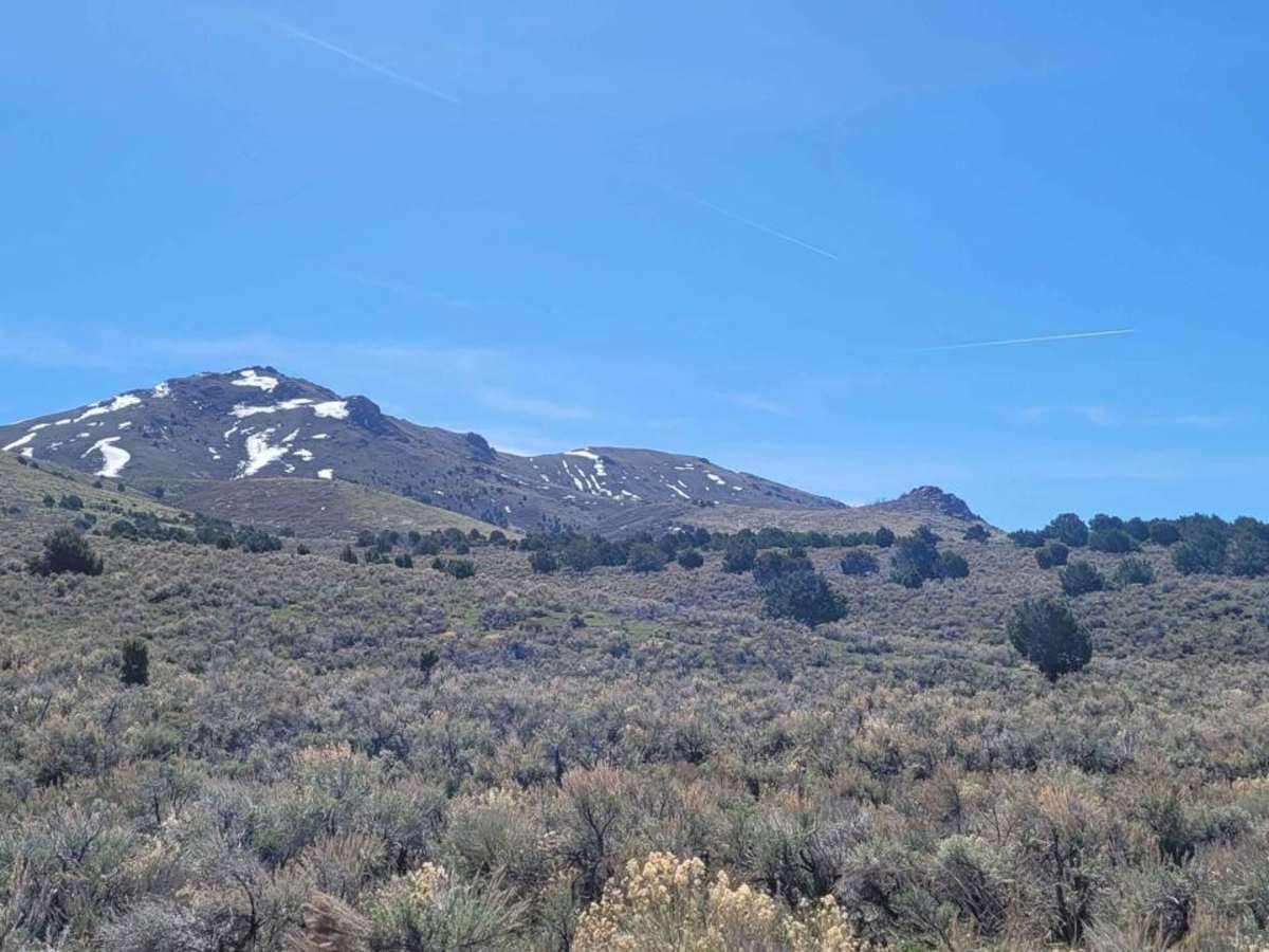 Cherry Creek Road photo 4