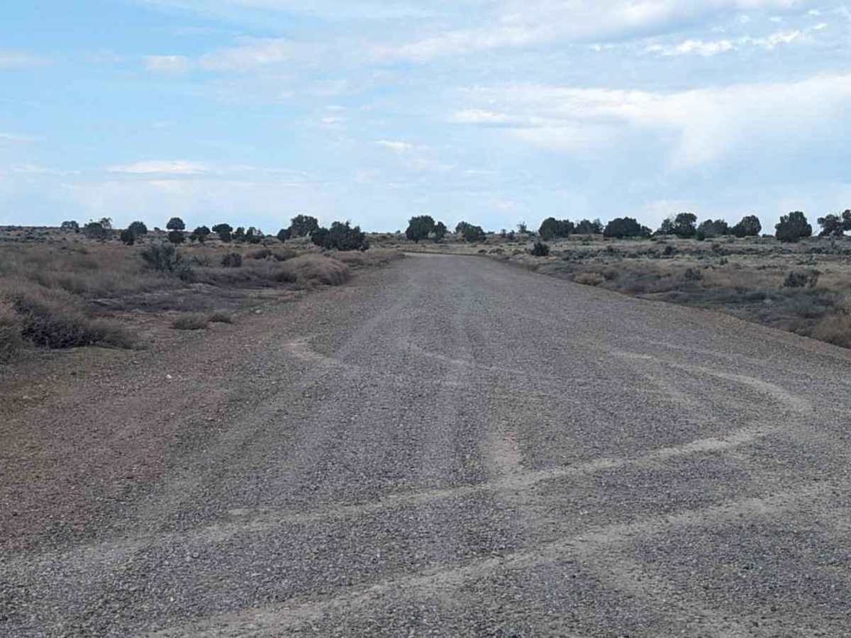 Gunsight Point Road - BLM1048-BLM164 photo 2