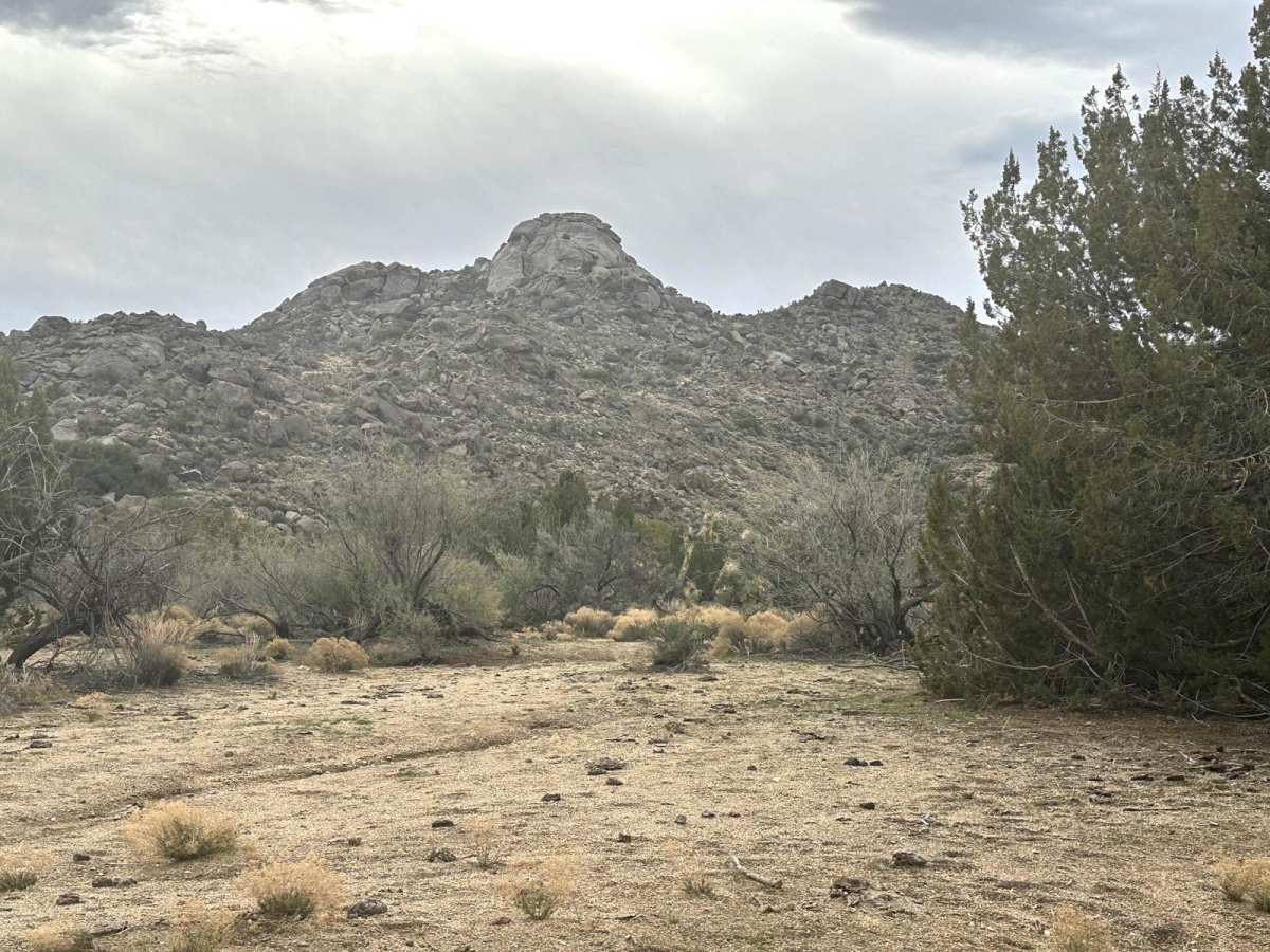 Shannon Basin Alt Trail photo 5