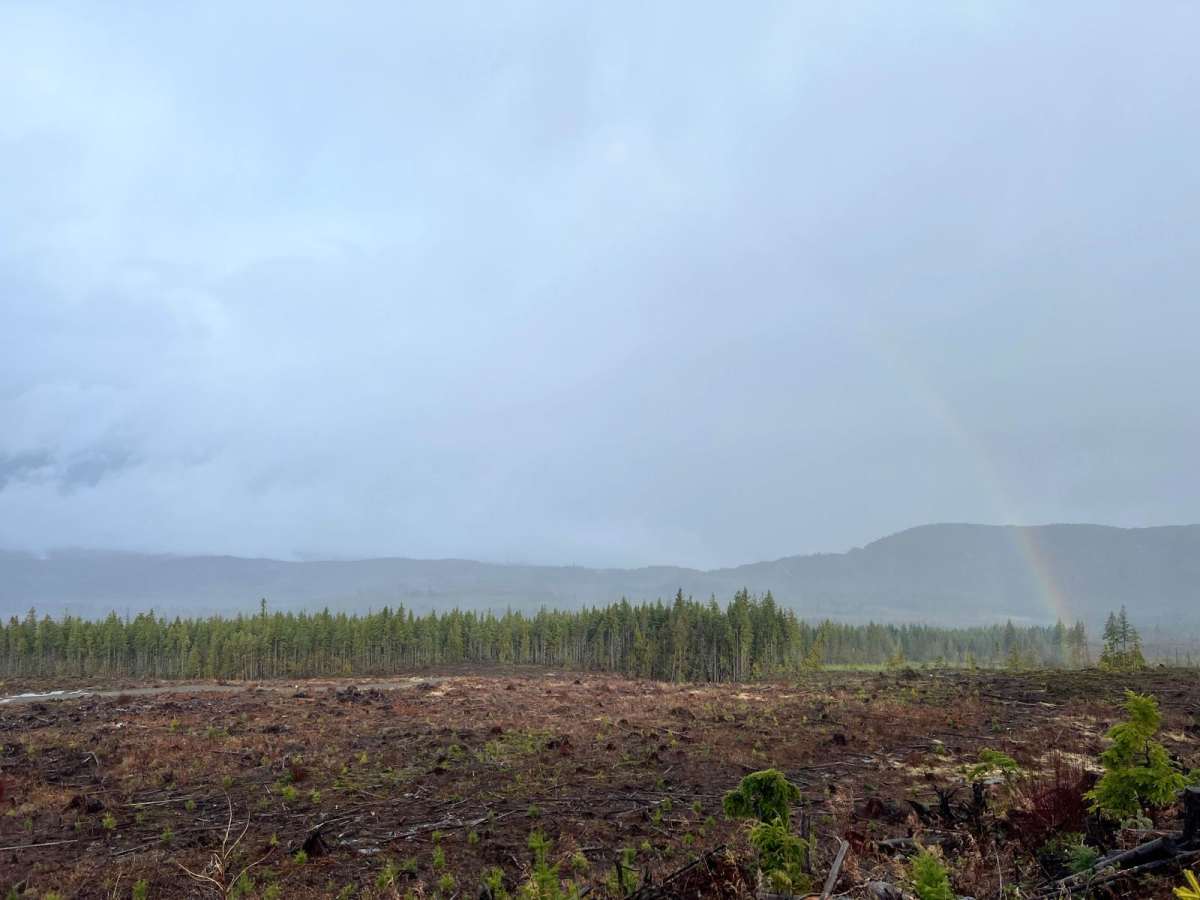 Lucid Lake photo 5