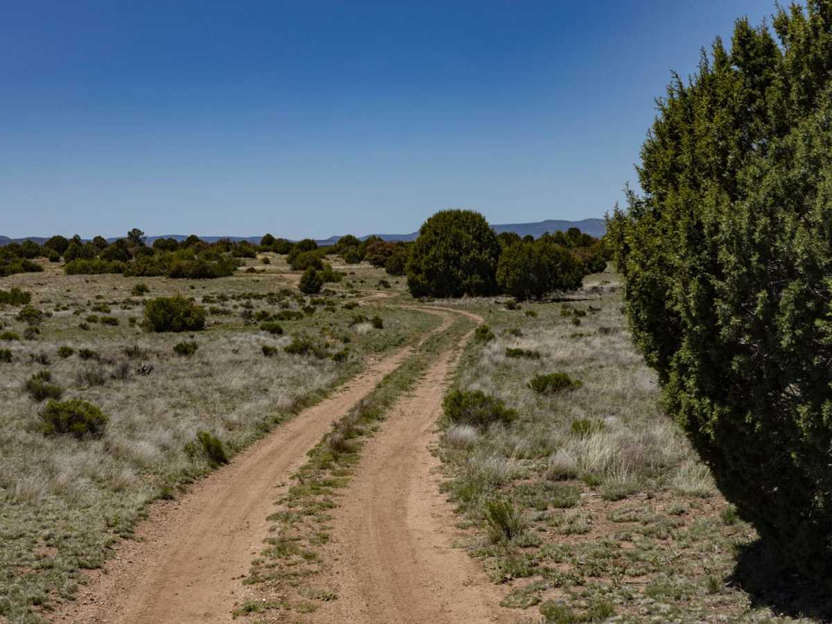Javelina Camp photo 2