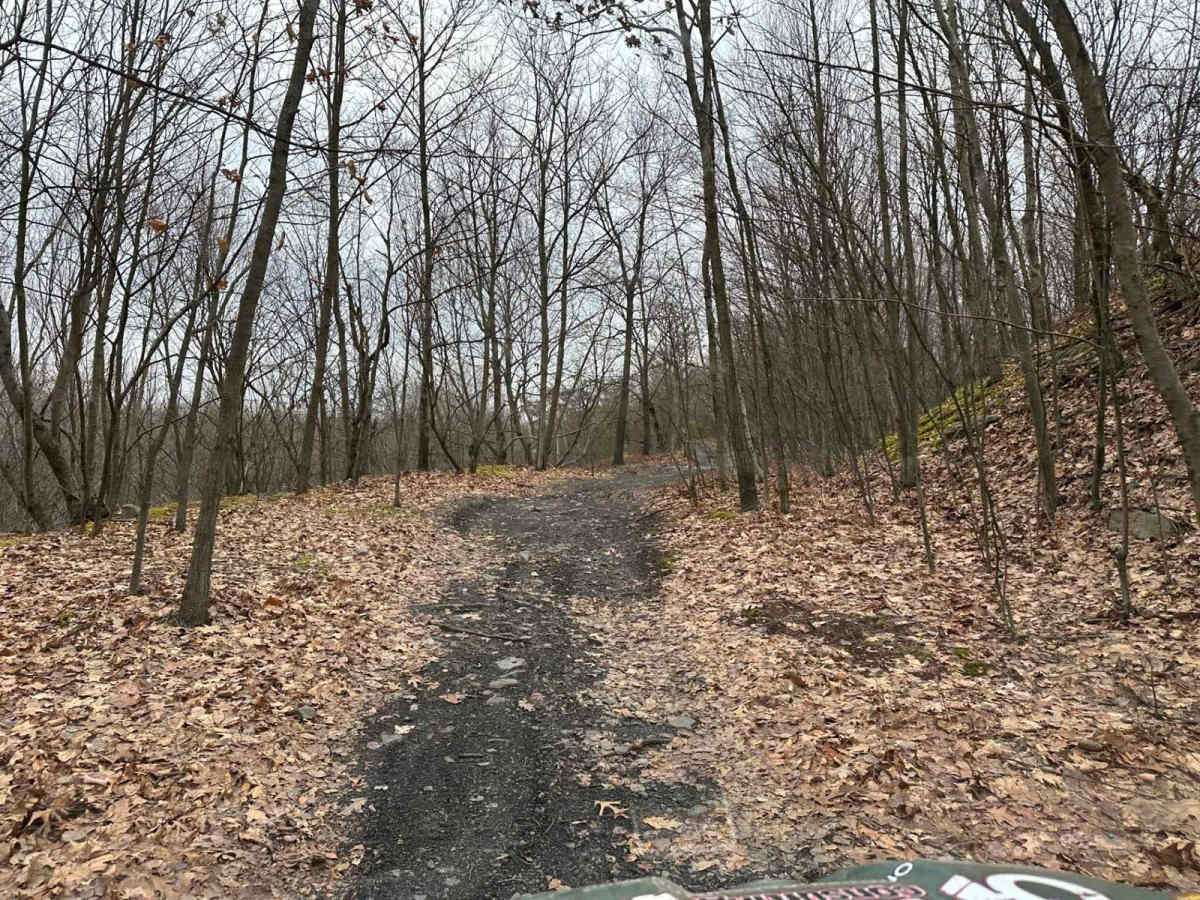 Locust Gap 65 trail photo
