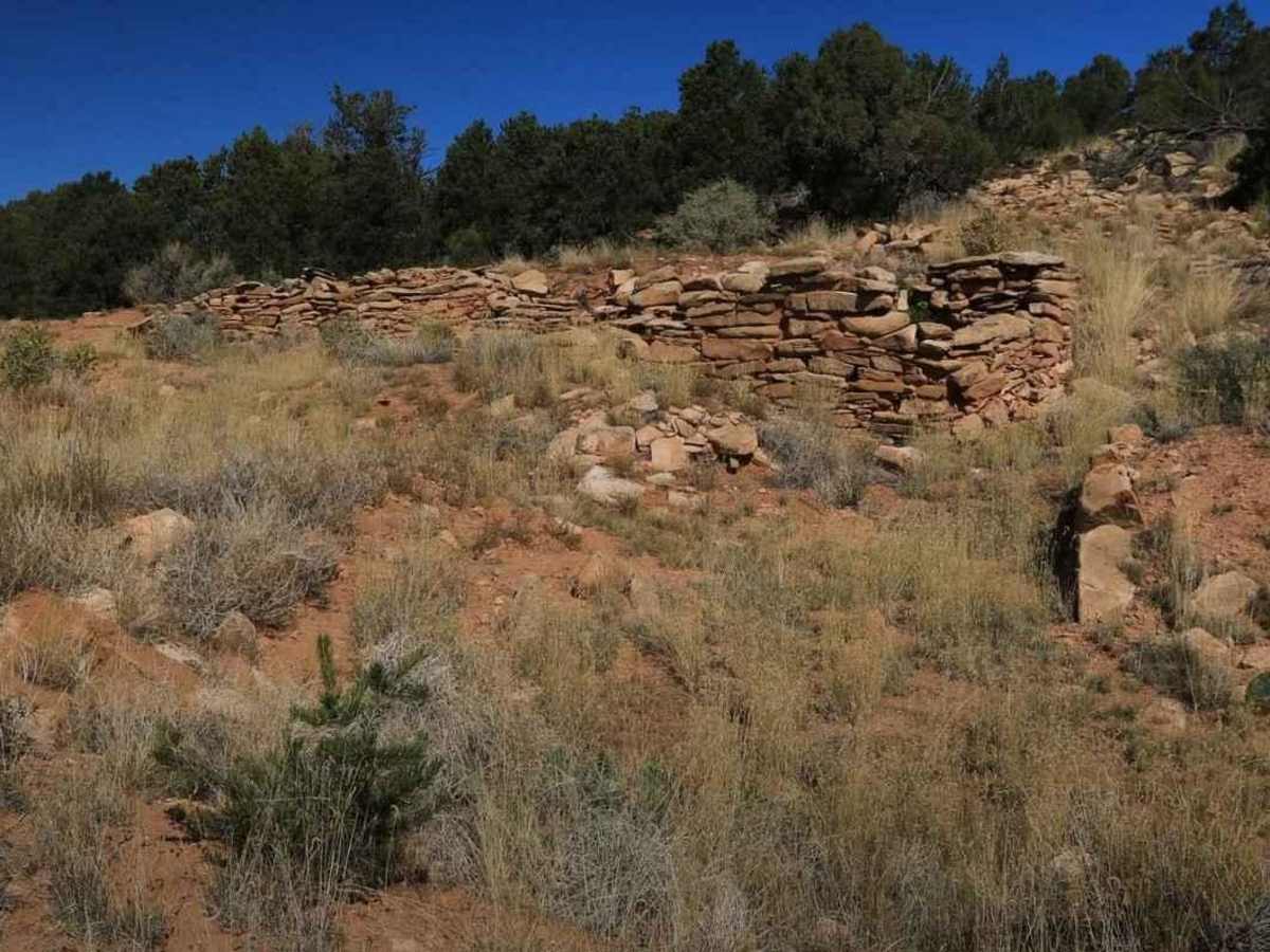 BLM D0148 - Beef Basin Spring Road photo 6