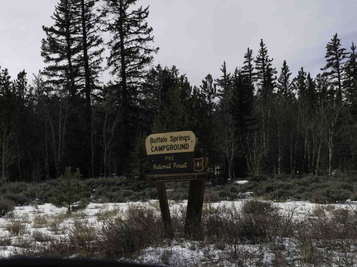 Buffalo Peaks Road - 431 photo 3