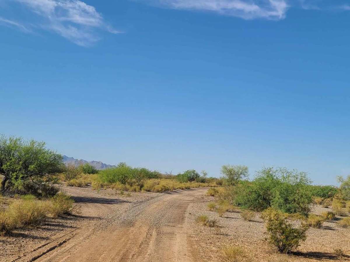 The Giant Triangle trail photo