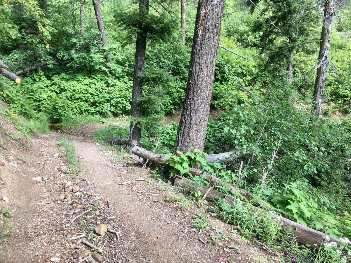 Lincoln View ATV Trail photo 5