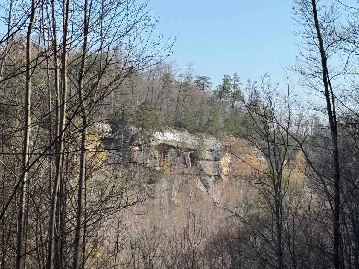 Trail 3 photo 2