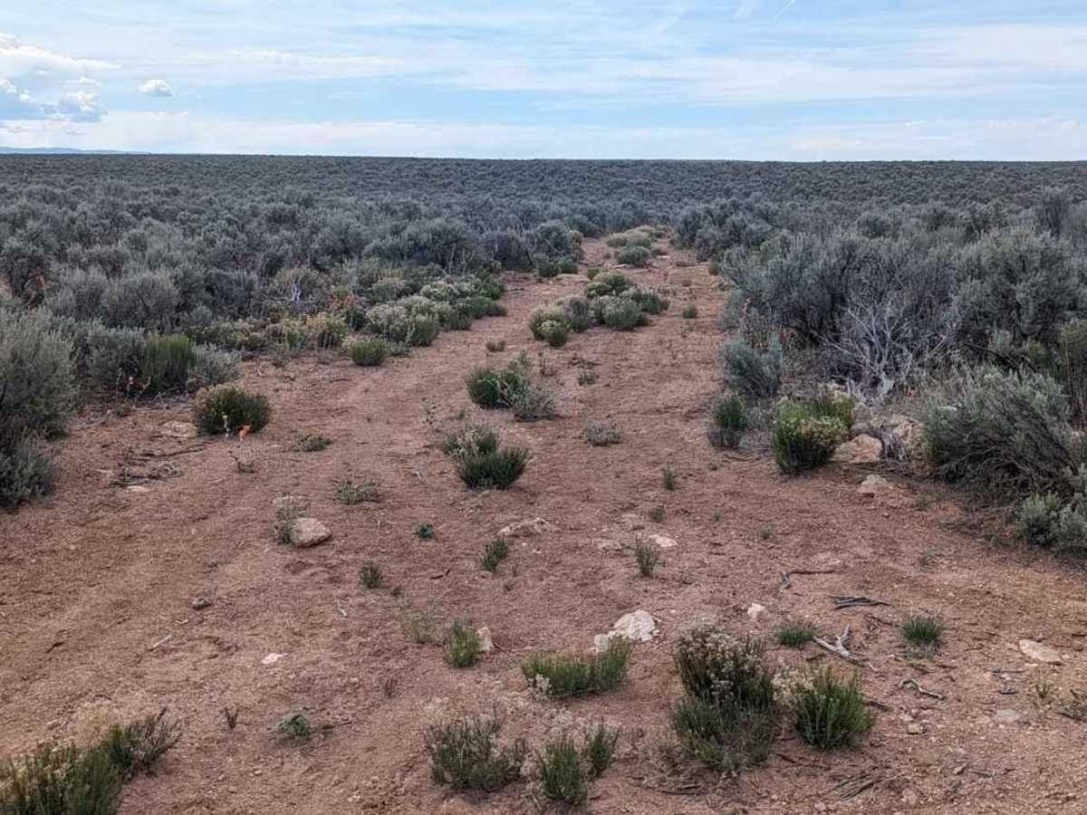 Snake Gulch Rim - BLM191 photo 2