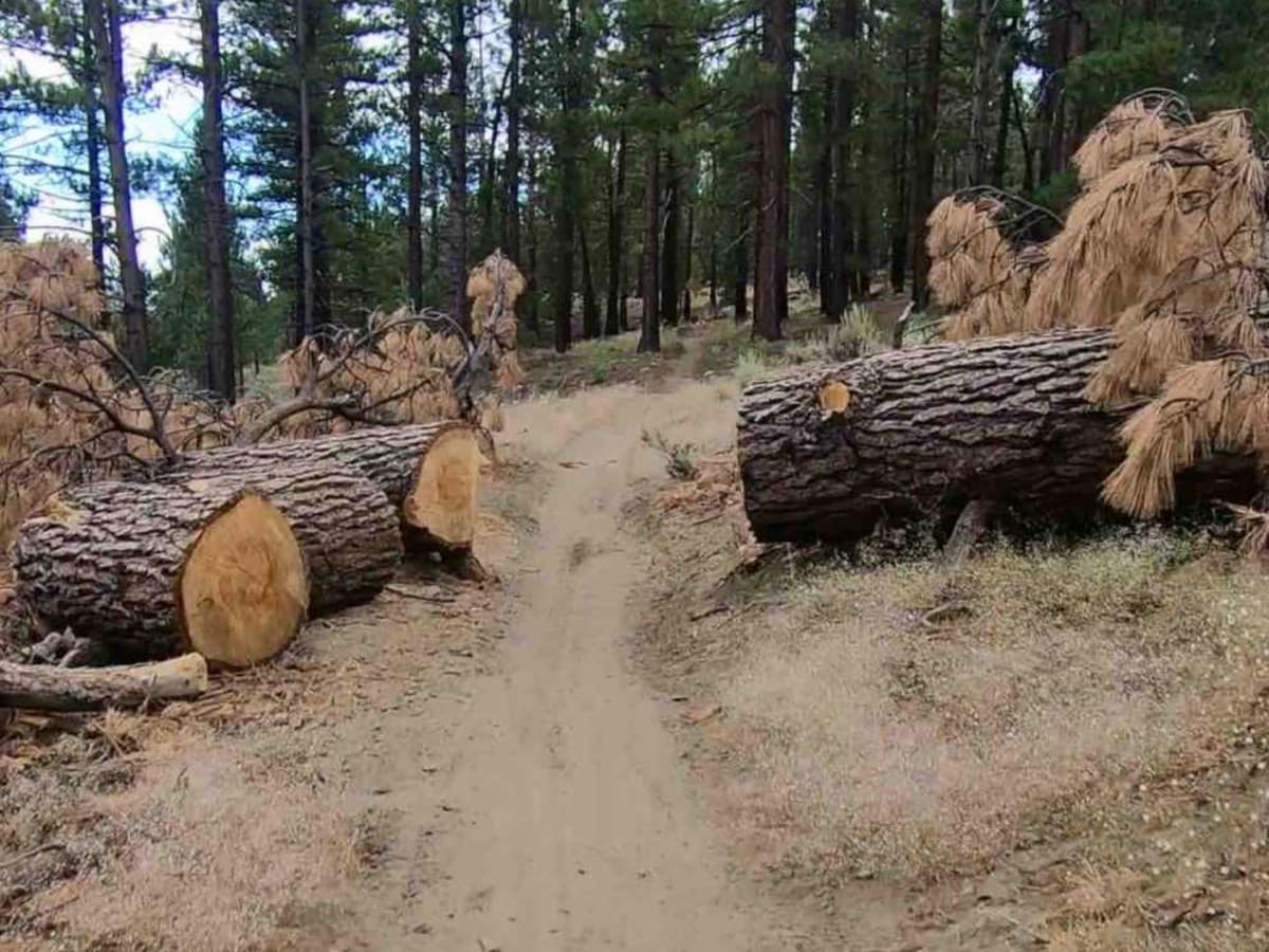 Campground Connector photo 6