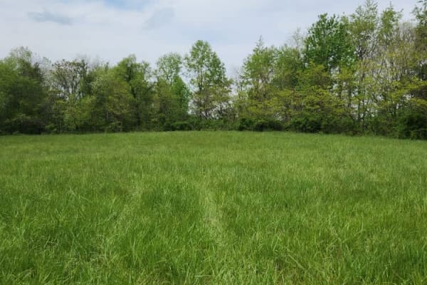 Mouth Hollow Road