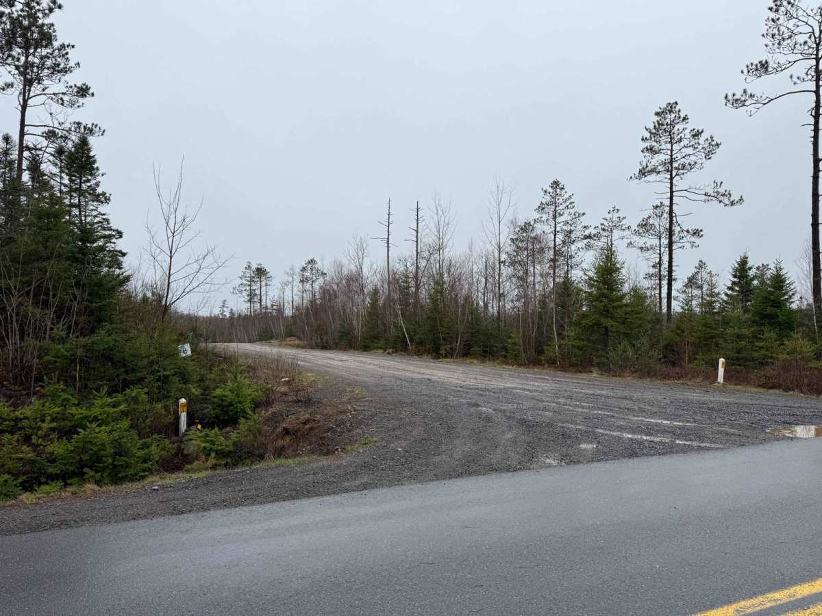 Route 99 photo 2