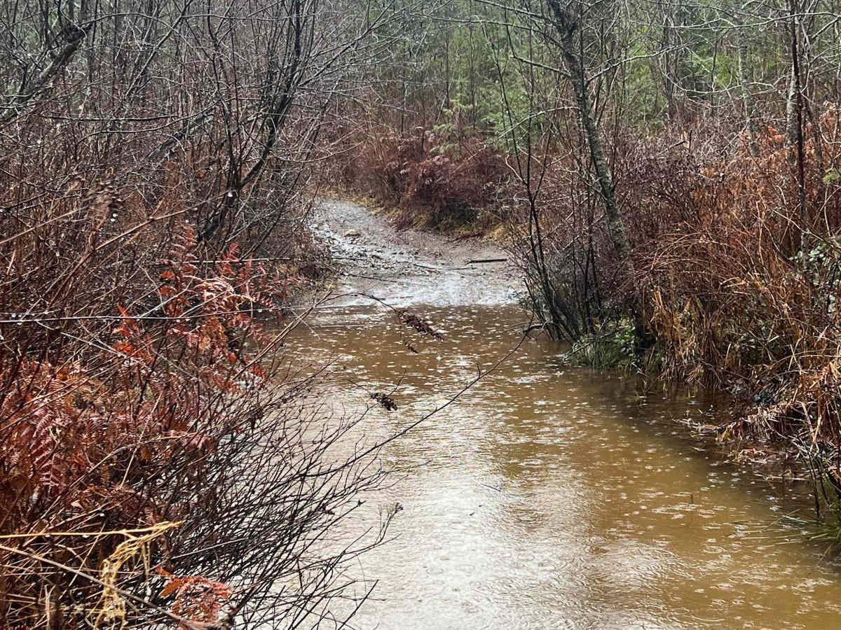 Kidney Lake photo 3