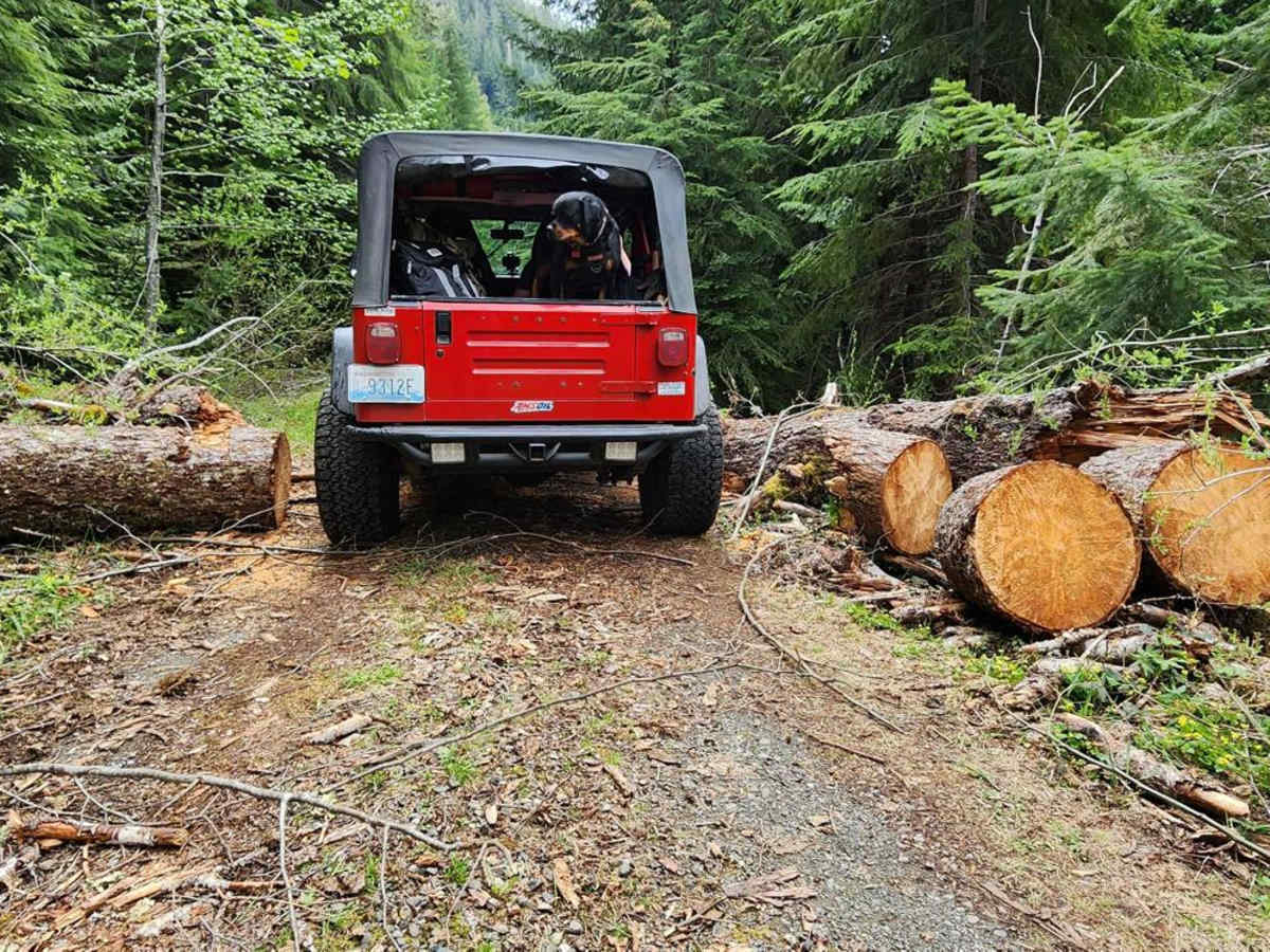 Dry Copper Creek Road photo 3