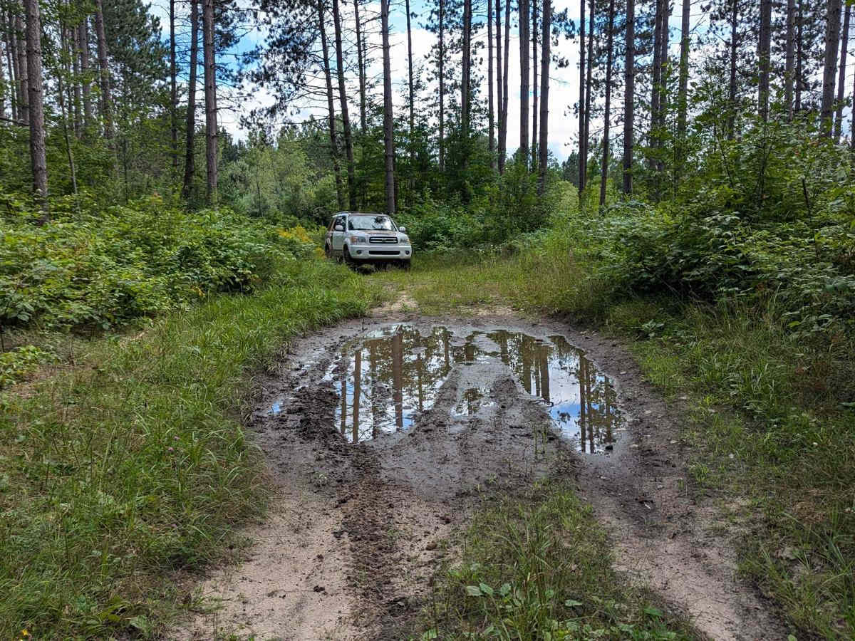 Brown Trail photo 5