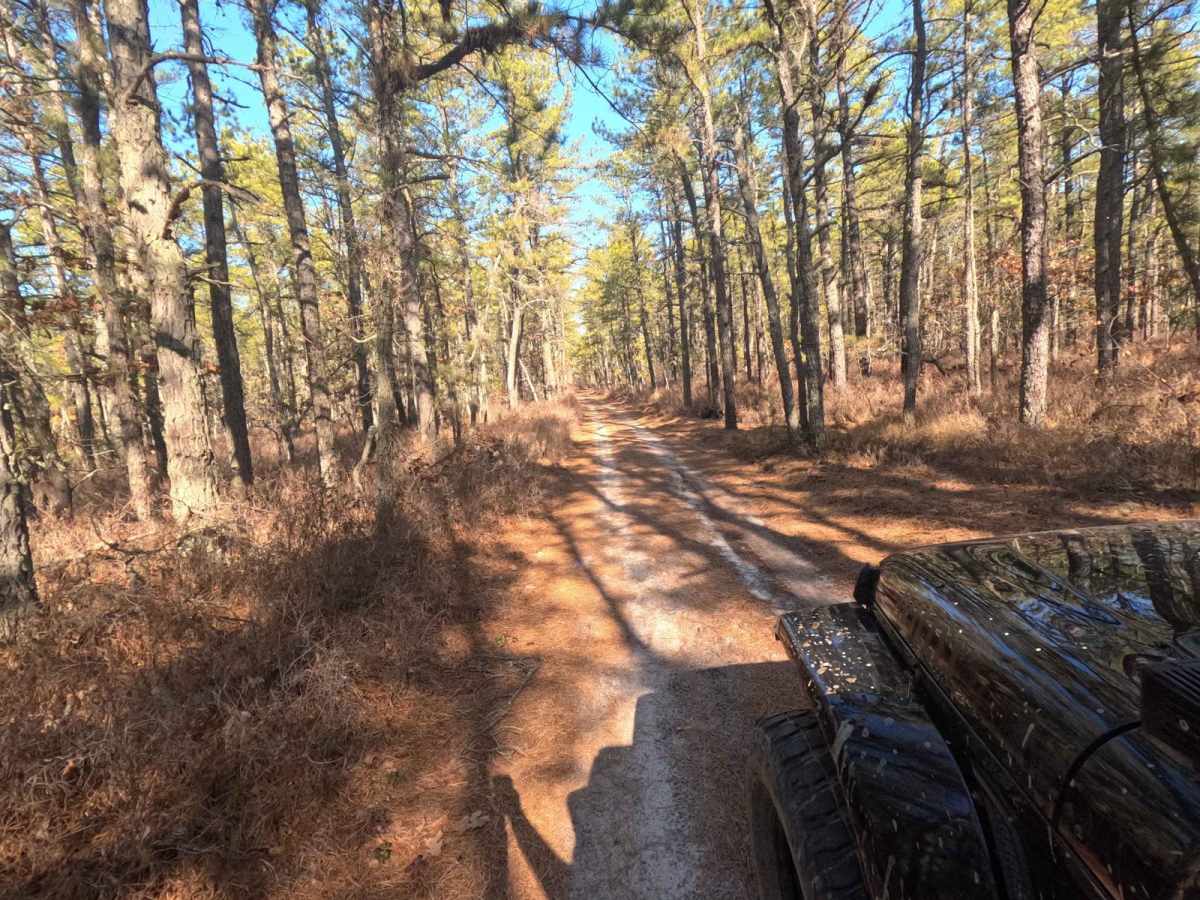 Mount Sandy Ridge Road trail photo