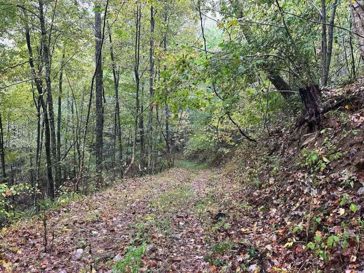 J/57 Blue trail photo