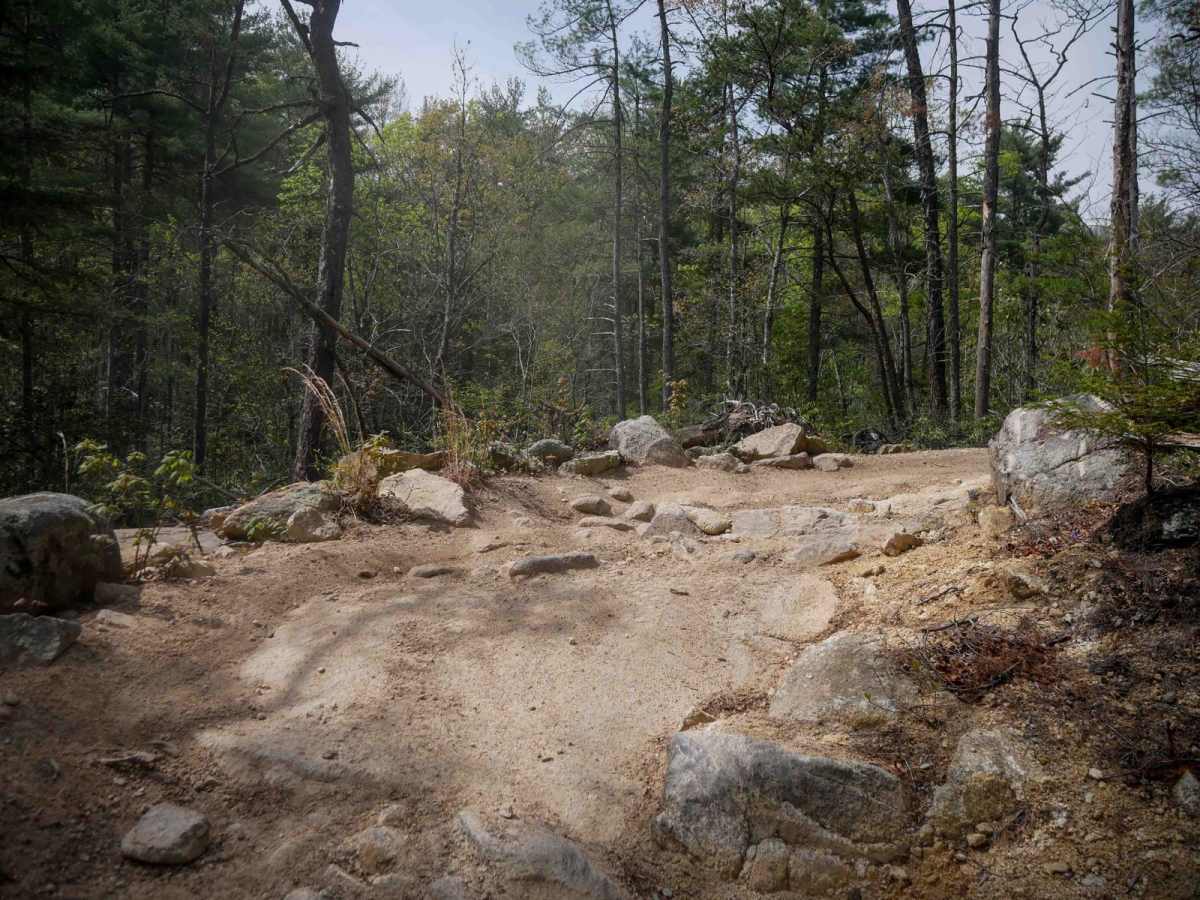 Trail 9  - 65 Inch photo 5