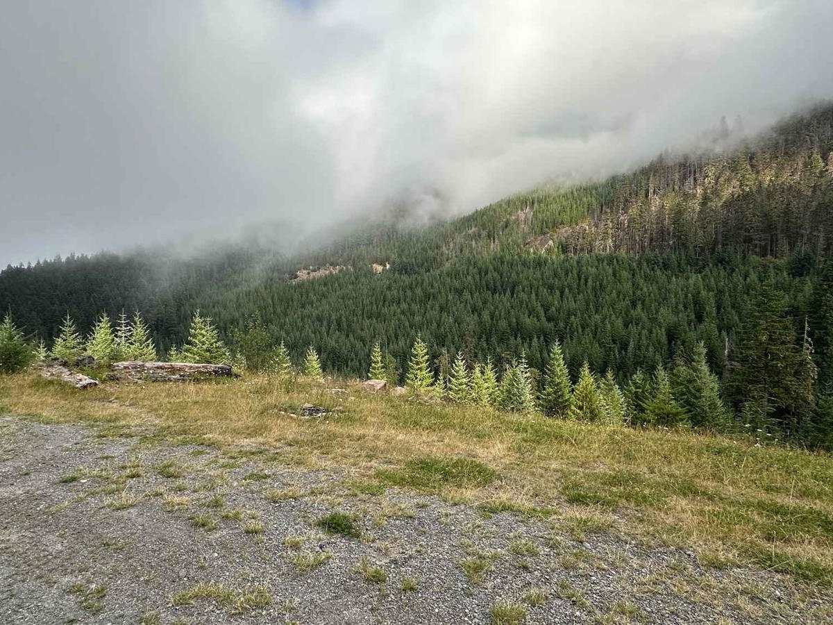 Echo Lake Road - NF 7220 photo 4