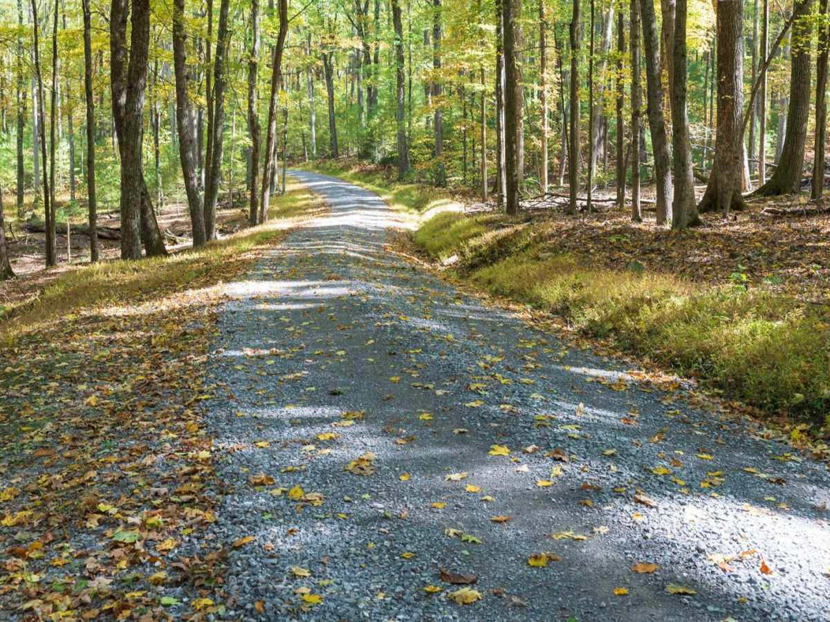 Alan Seeger Road trail photo