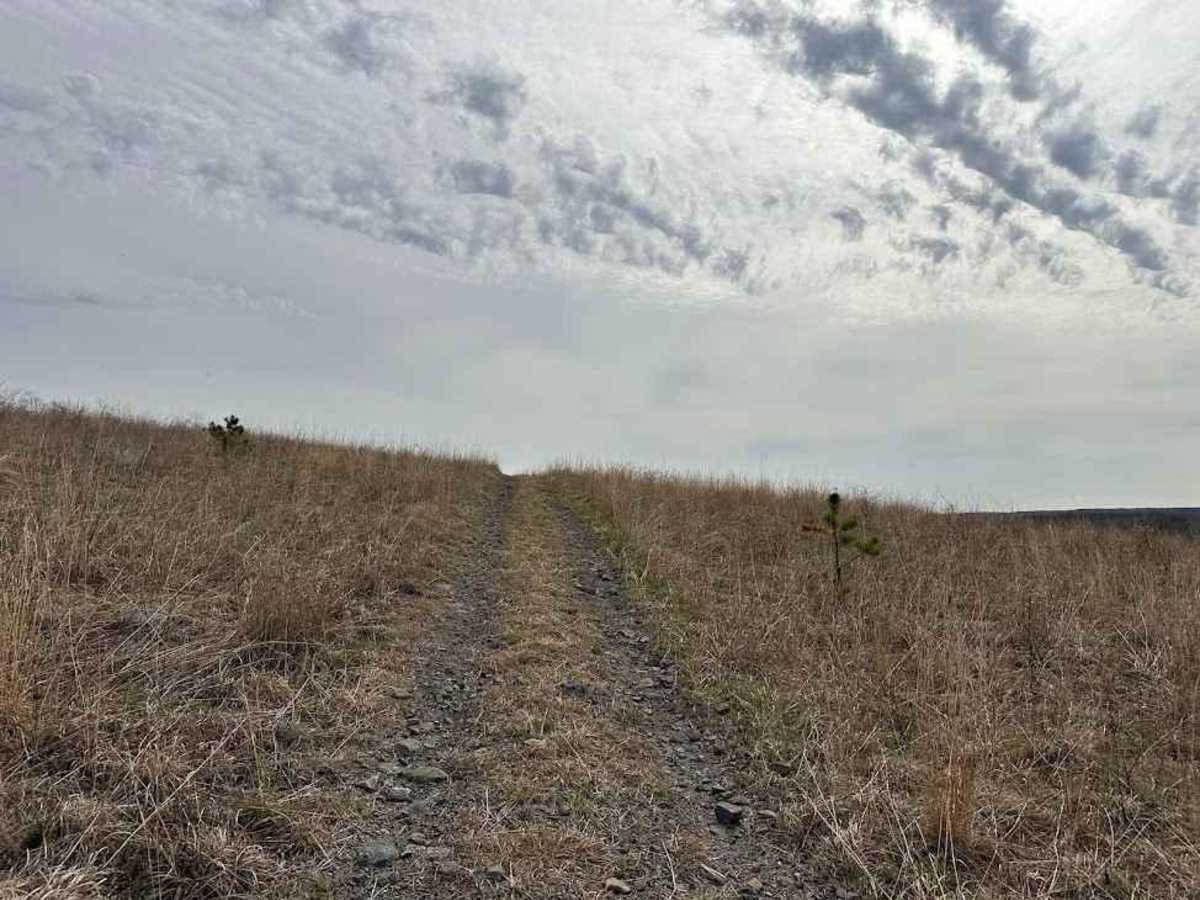 Burma 79 photo 3