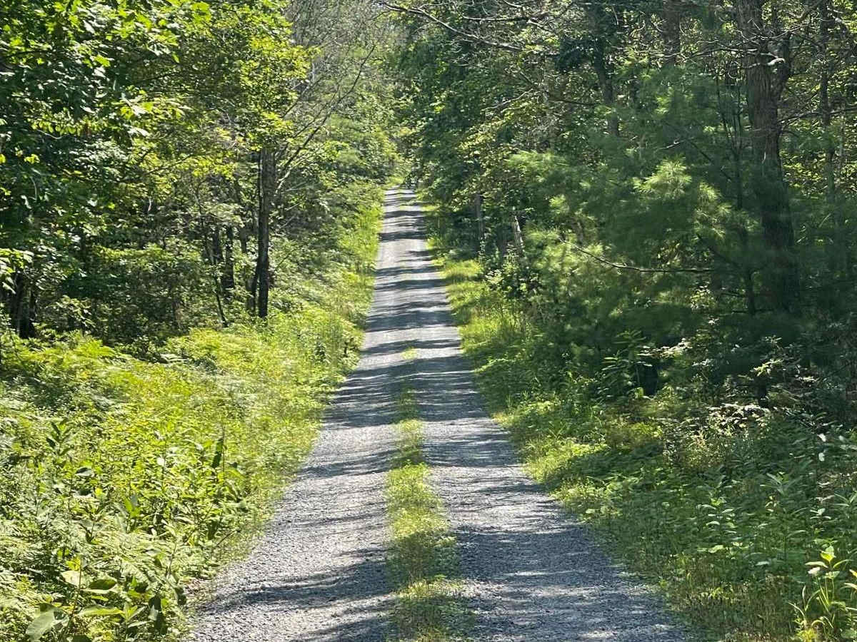 Zink Fork Road photo 3