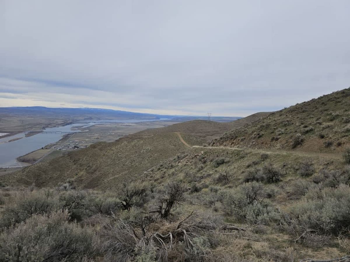 Saddle Mountain Northwest Trail photo 5