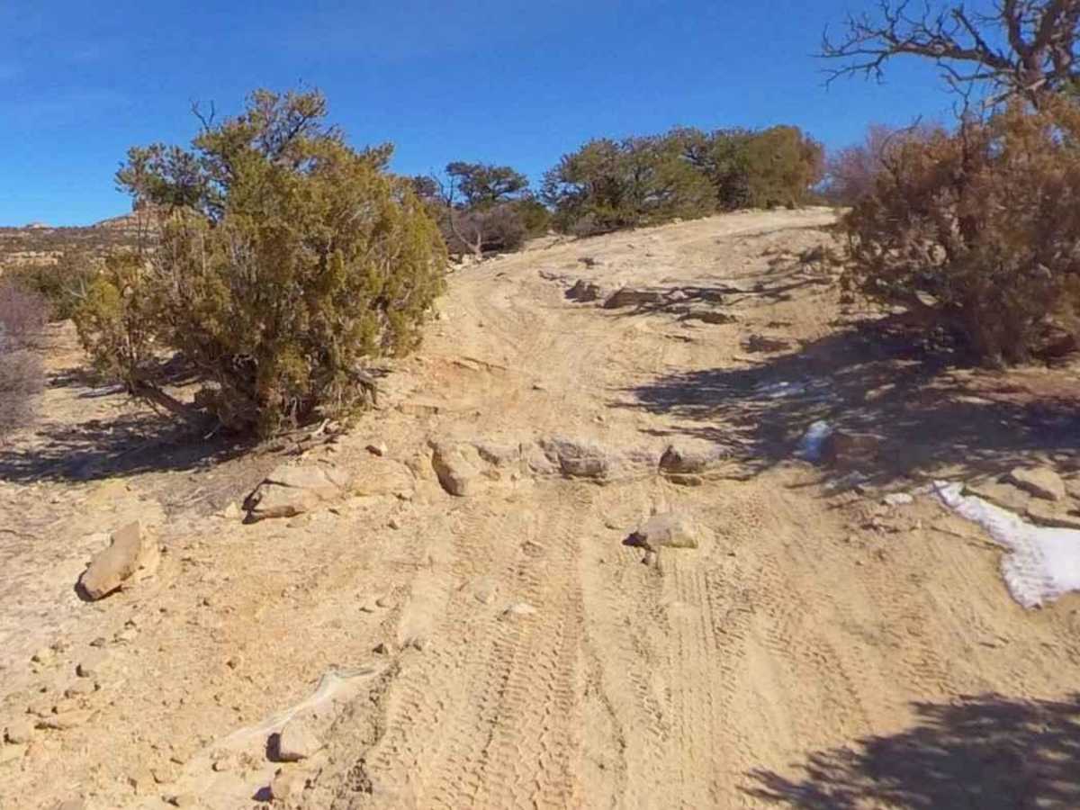 Devils Racetrack-BLM639 photo 6
