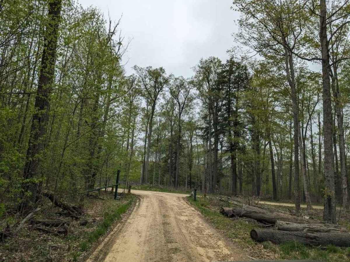 Two Mile trail photo