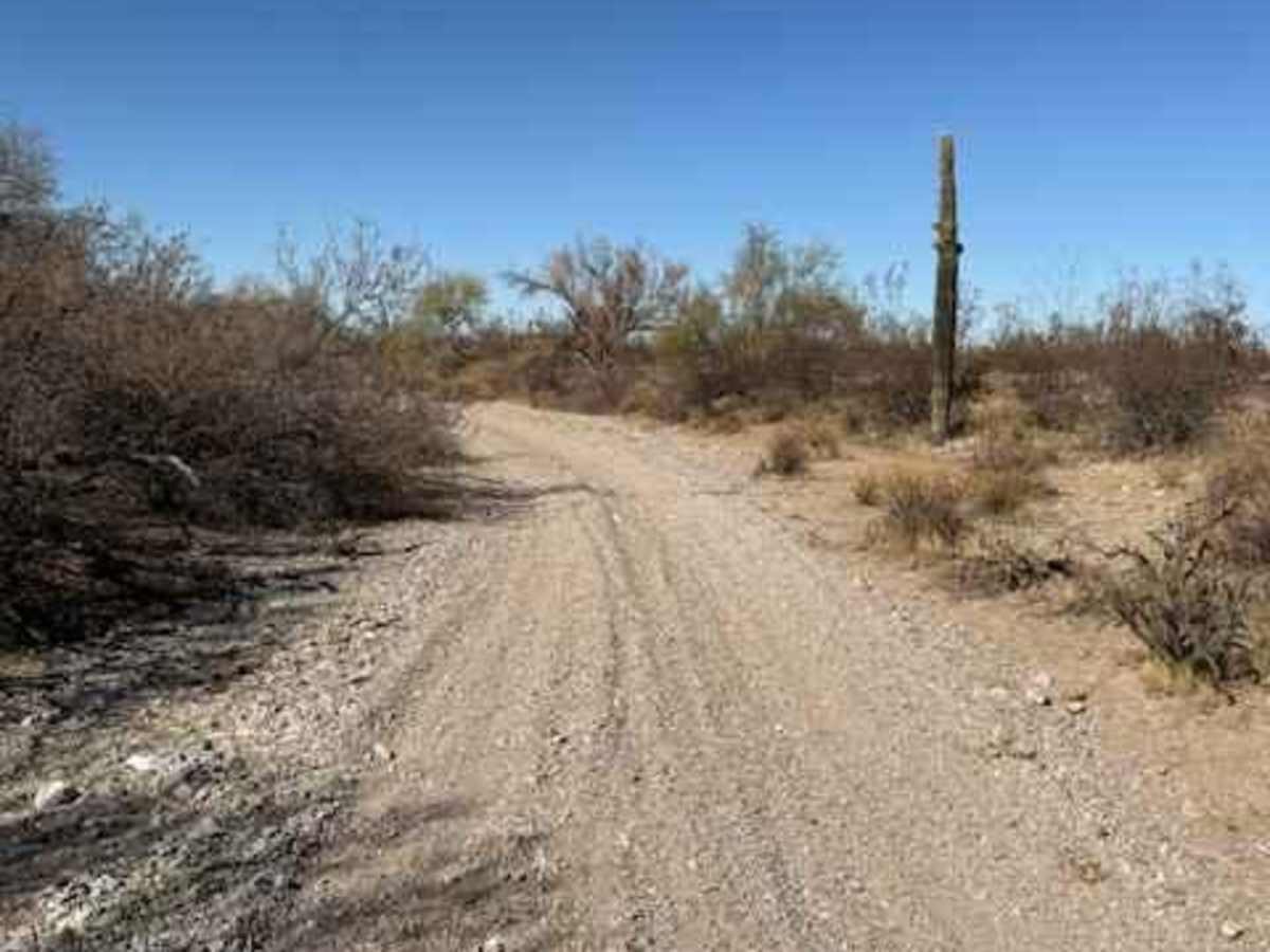 Nw2230 photo 5