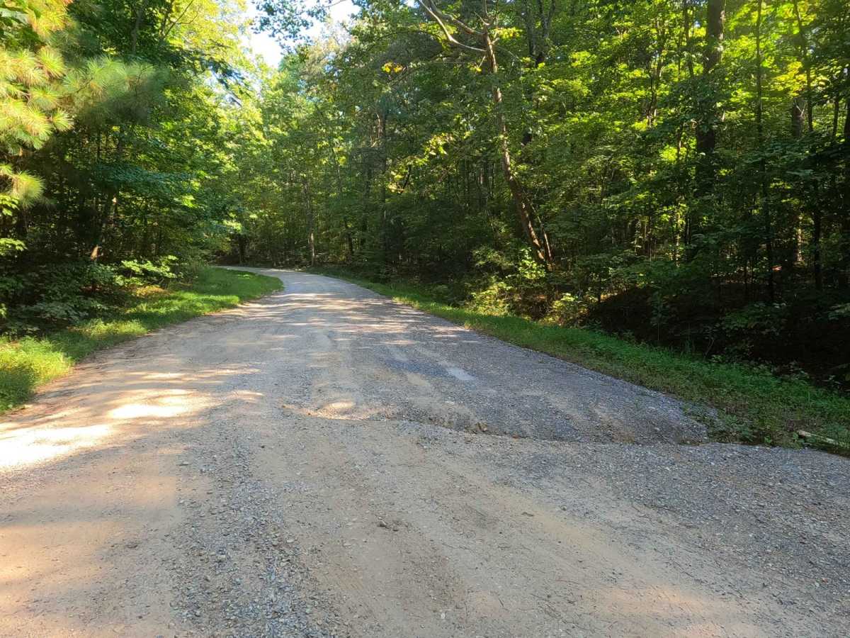 Smith Bay Road - FS 116 photo 4