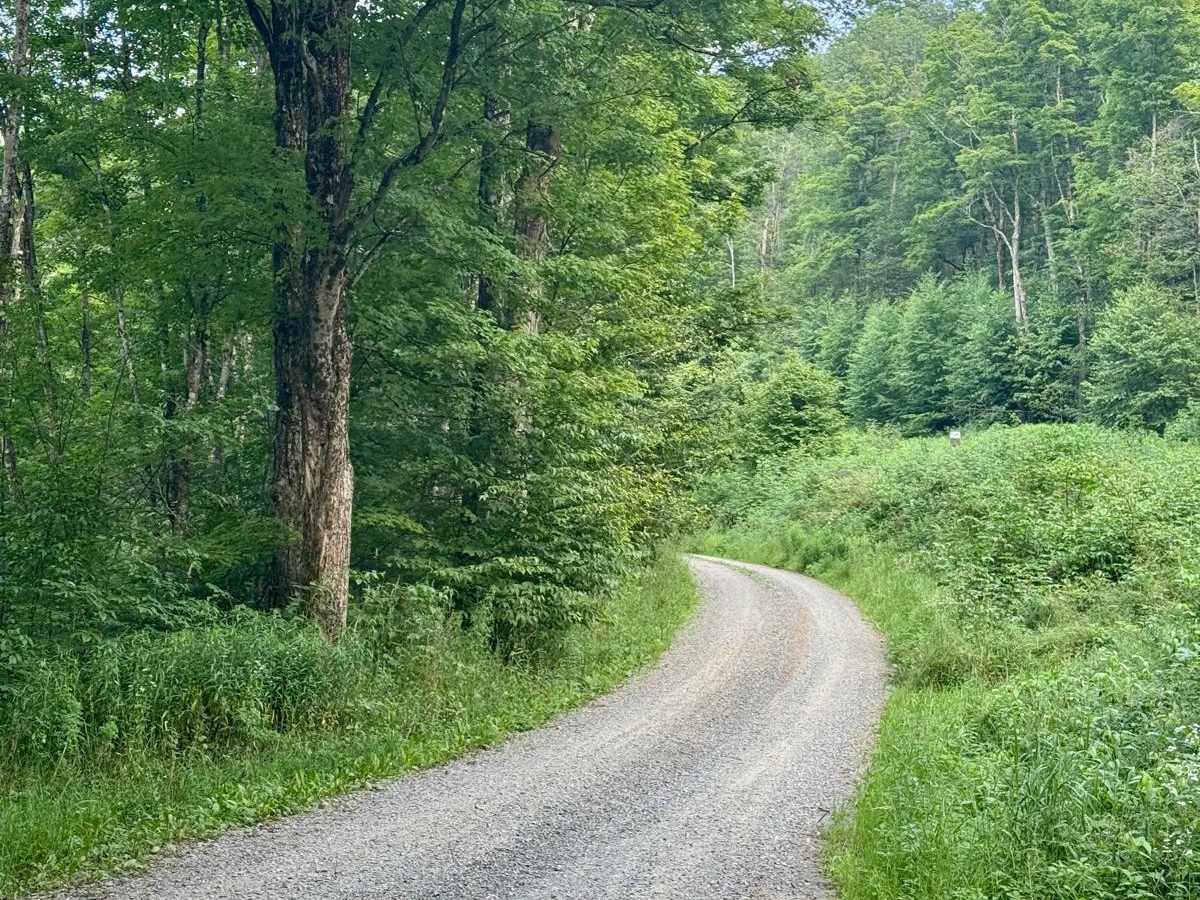 Horton Run Road photo 3