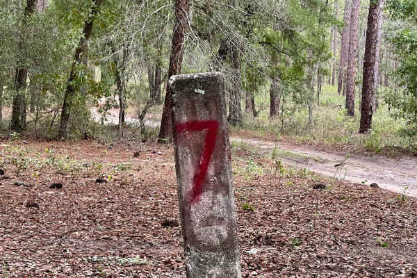 Crooms Wildlife Management | Trail 7