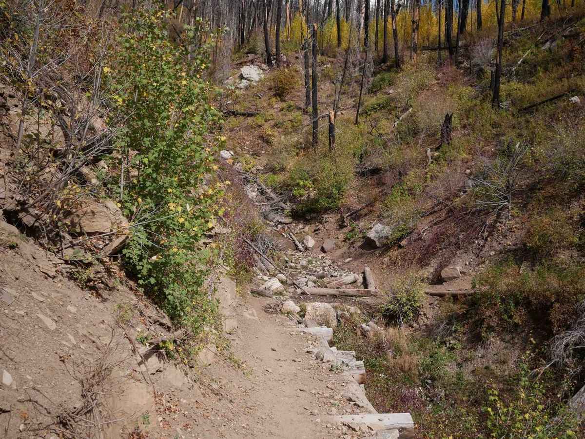 Hermosa Creek ATV trail photo