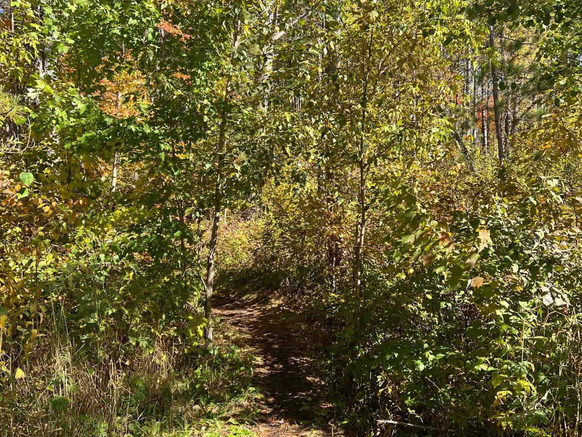 Round River Dr. Dirt Bike Short Cut photo 5