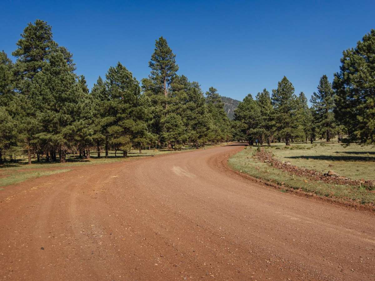 Beale Wagon Road Main photo 3