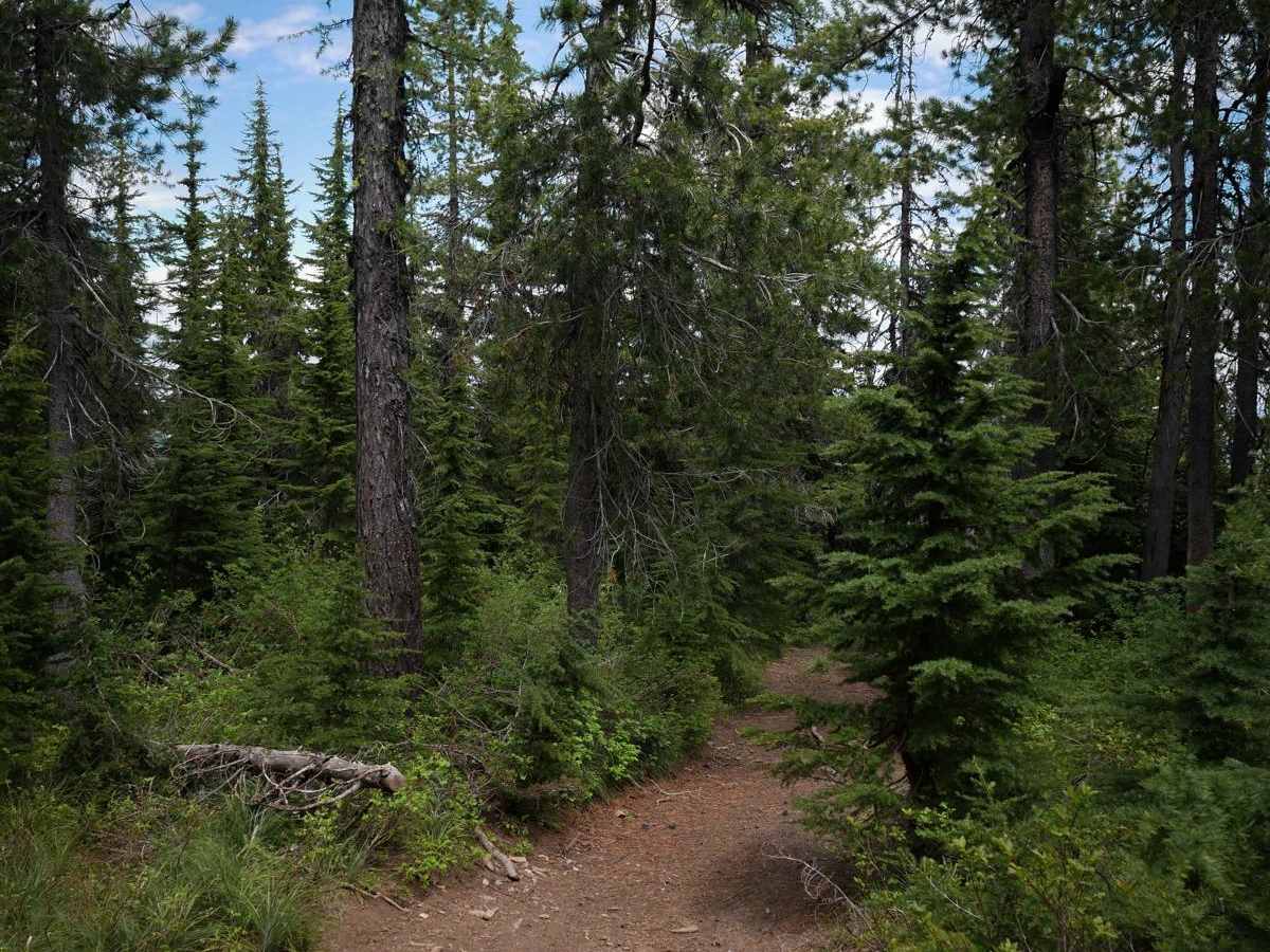 St Joe Divide NRT ATV photo 3