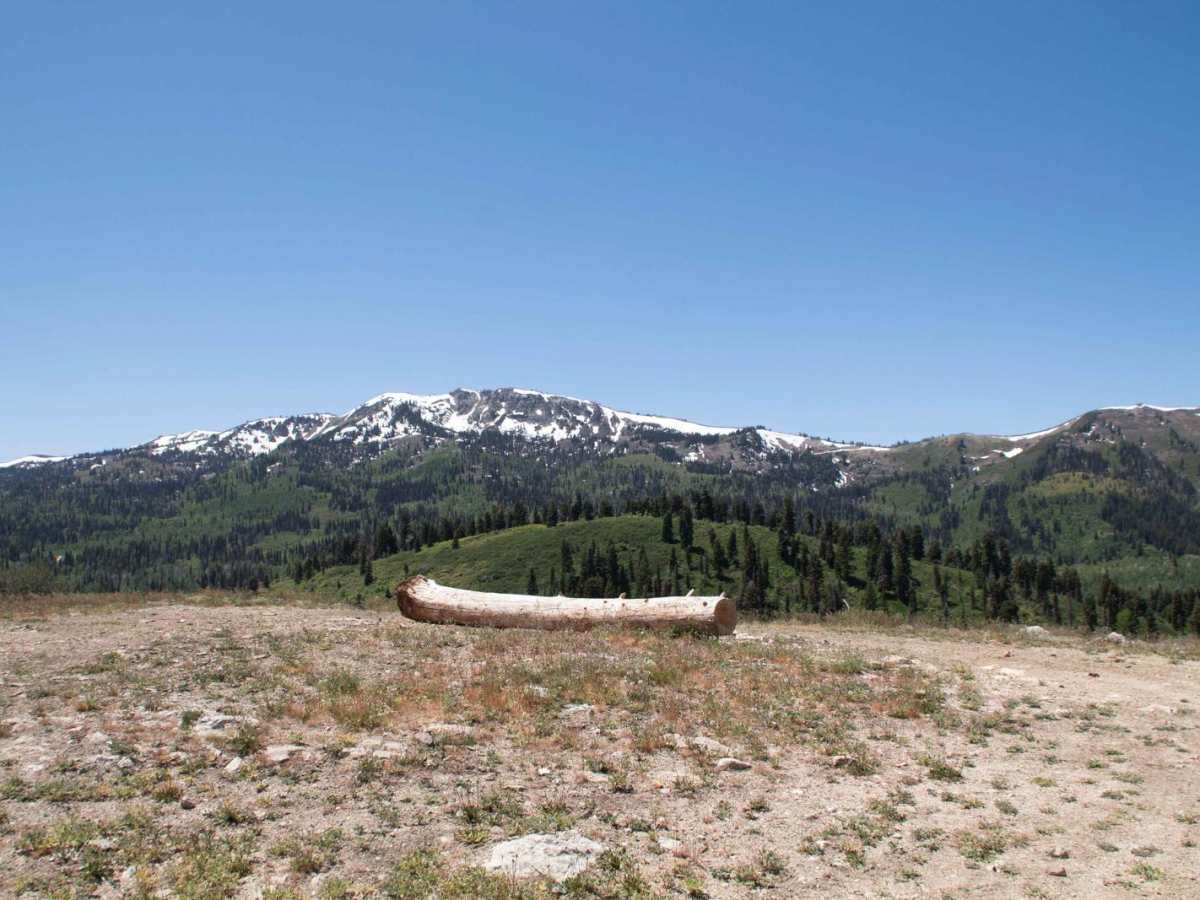 Farmington Flats photo 3