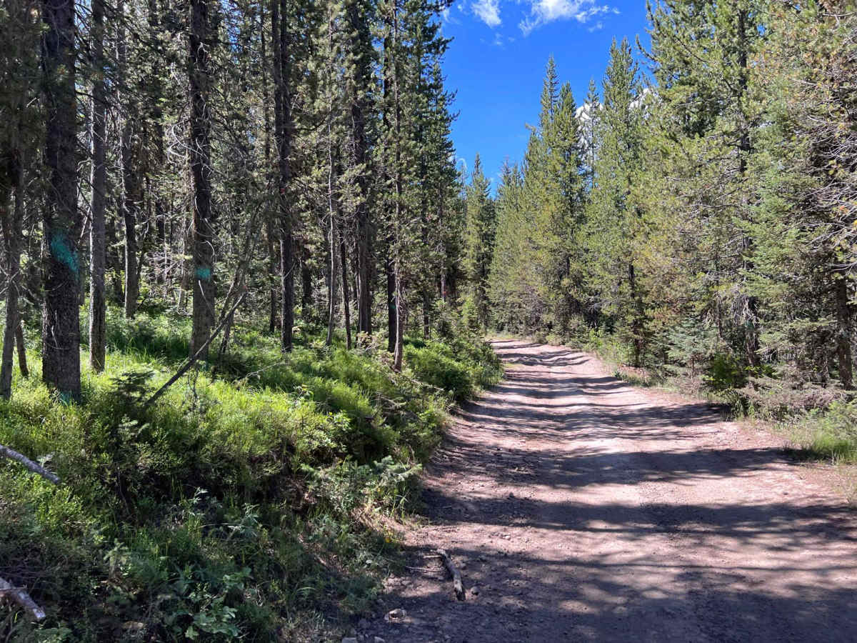 Slab Pile Road (1727) photo 4