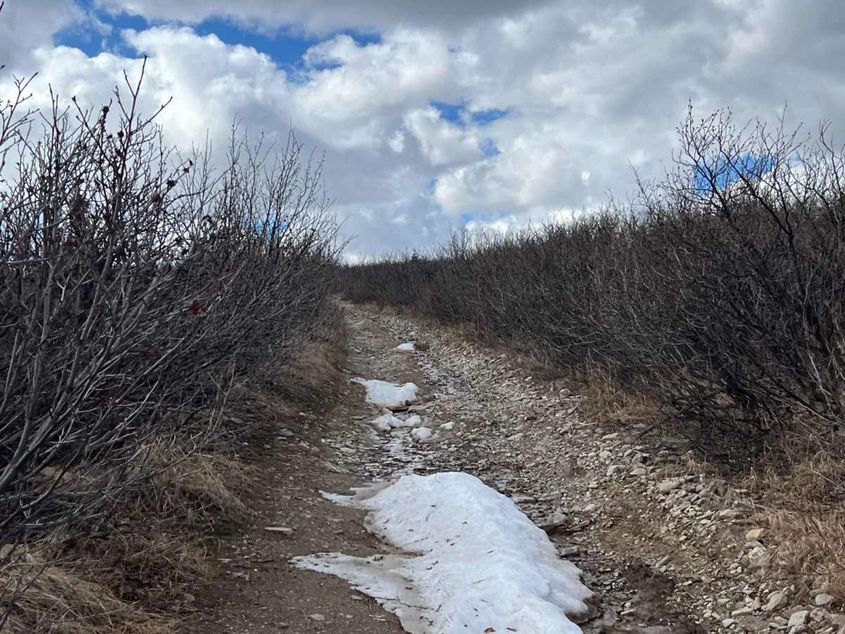 Black Diamond Peak 2 photo 5