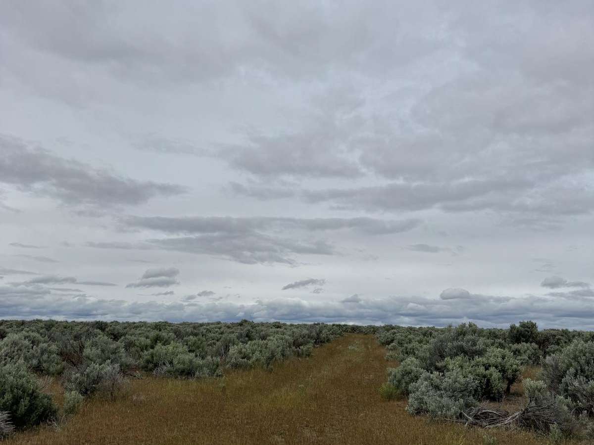 Pumpjack Plateau photo 4