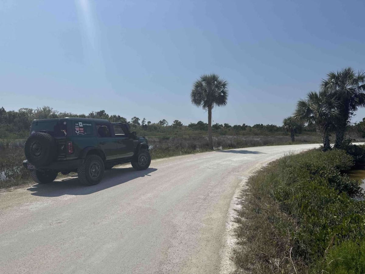 Black Point Wildlife Drive photo 6
