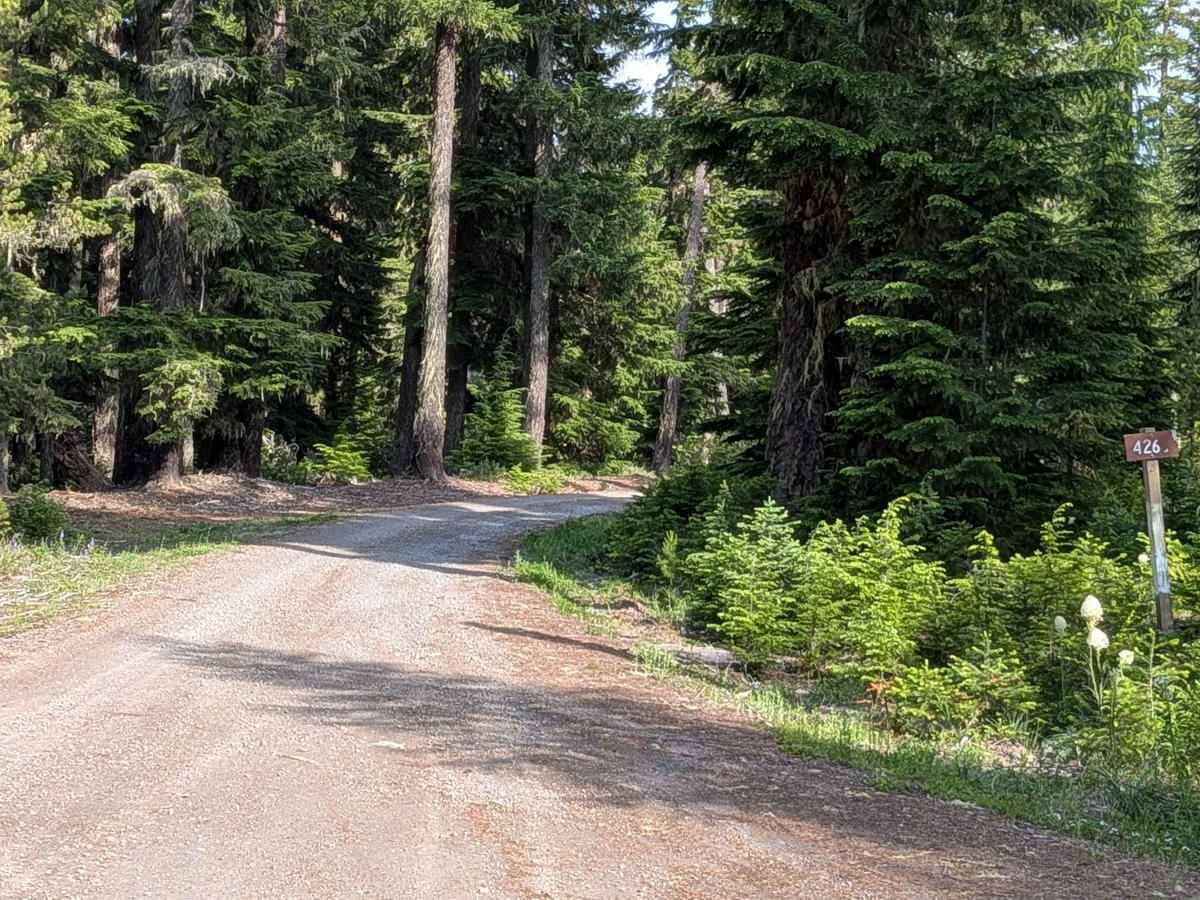 FS 4260000 trail photo