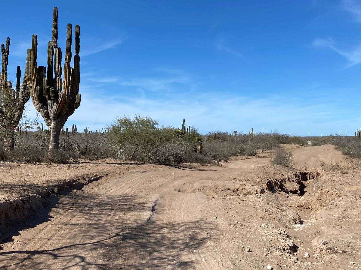 Dos Ranchos Road photo 6
