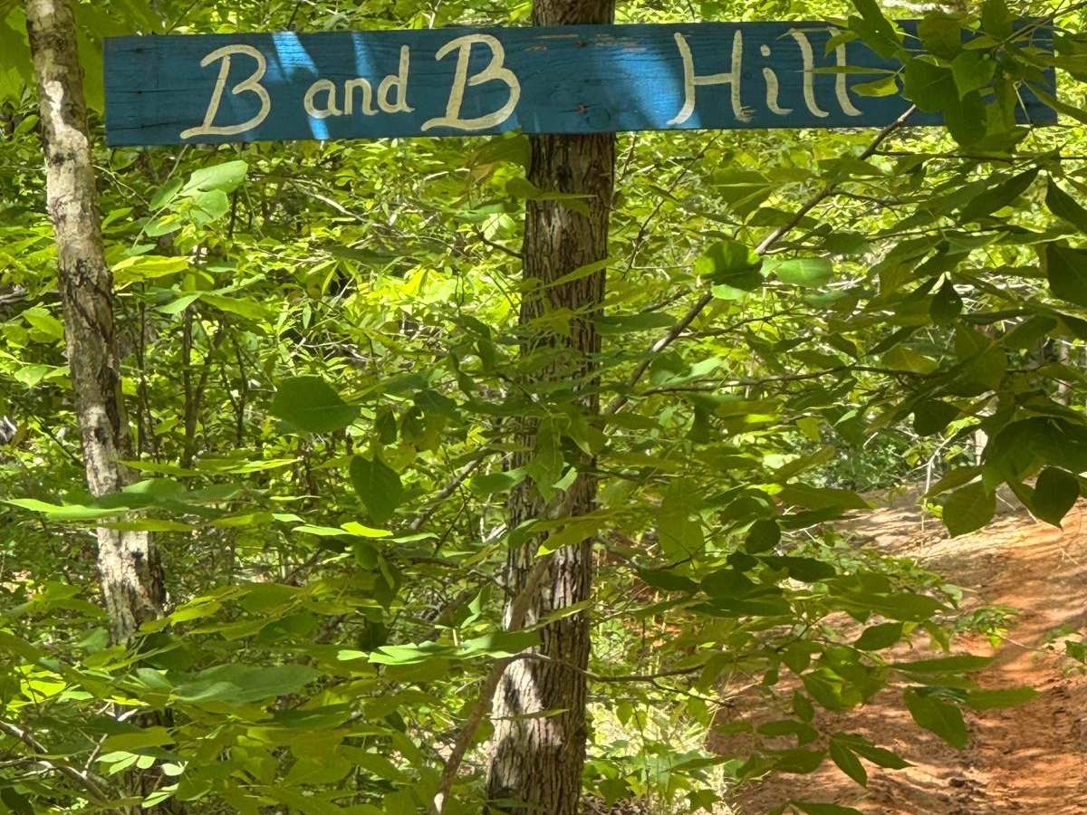 B&B Hill photo 2