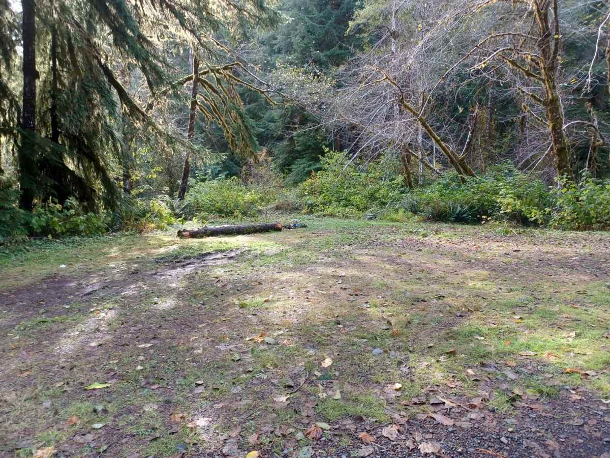 Sourgrass Ridge photo 3